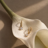 Moissanite Diamond Drop Earrings