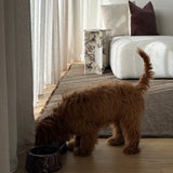 Rosso Levanto Marble Pet Bowl