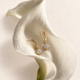 Moissanite Diamond Drop Earrings